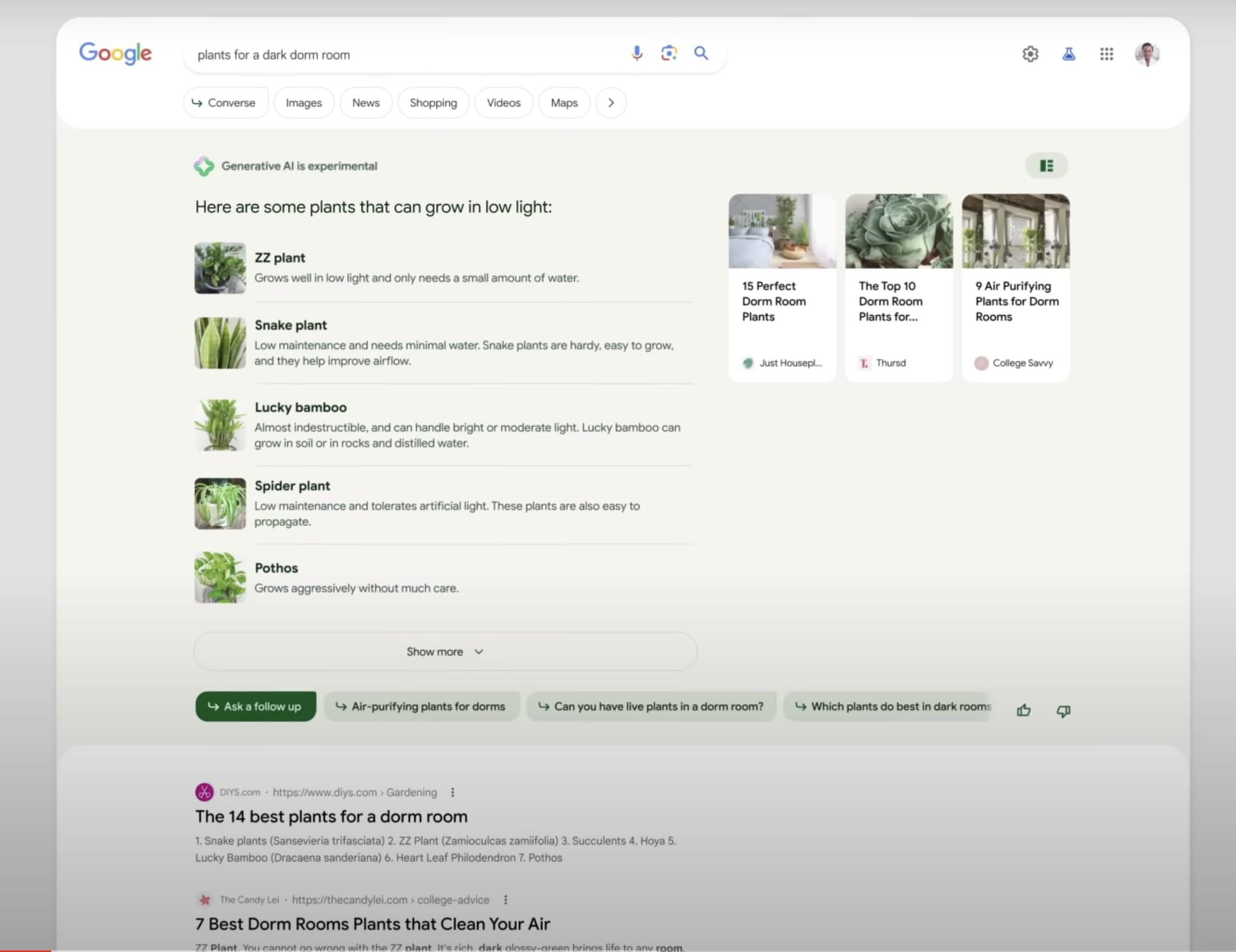 Google SGE-oplevelse
